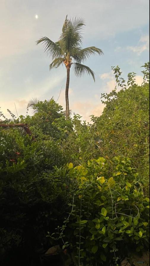Pousada Sol Nascente การาอิวา ภายนอก รูปภาพ